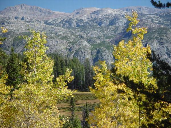 Along Glimpse Lake Trail. Photo by Dave Bell.