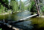 Boulder Creek Water. Photo by Dave Bell.