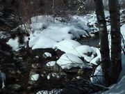 Snow On Pine Creek--Leap Day. Photo by Dave Bell.