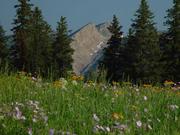 Wyoming Range Overthrust. Photo by Dave Bell.