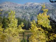 Along Glimpse Lake Trail. Photo by Dave Bell.