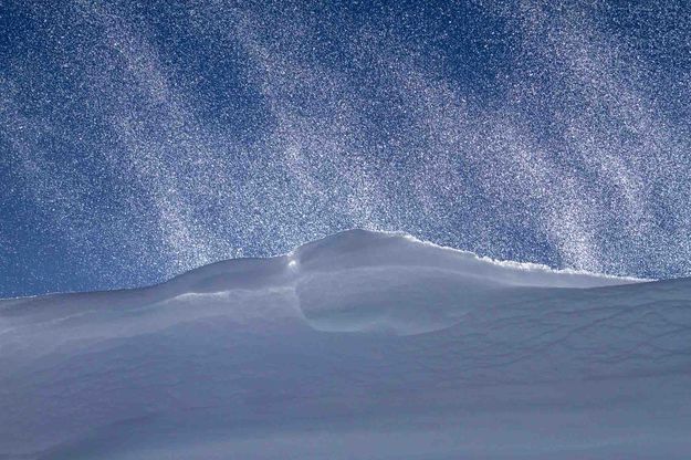 Backlit Blowing Snow. Photo by Dave Bell.