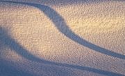 Morning Shadows; Fresh Snow. Photo by Dave Bell.