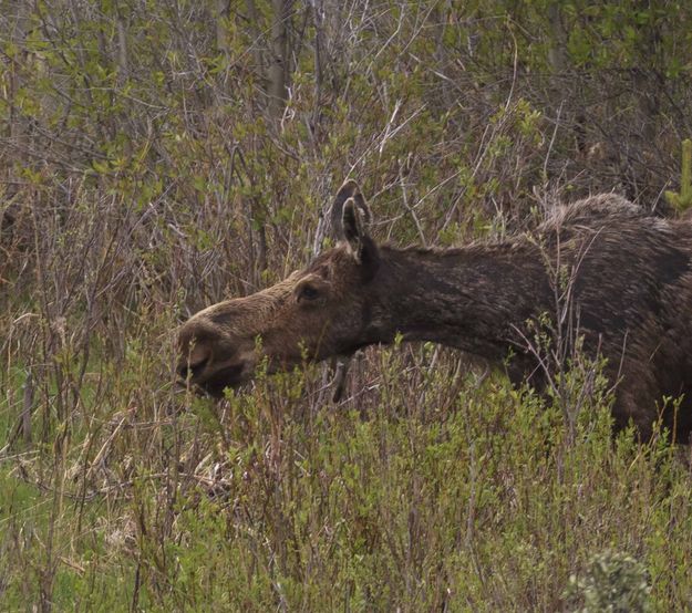 Stretching. Photo by Dave Bell.