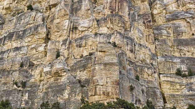 Clinging To Sheer Cliffs. Photo by Dave Bell.