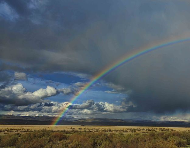 Pinedale Rainbow. Photo by Dave Bell.