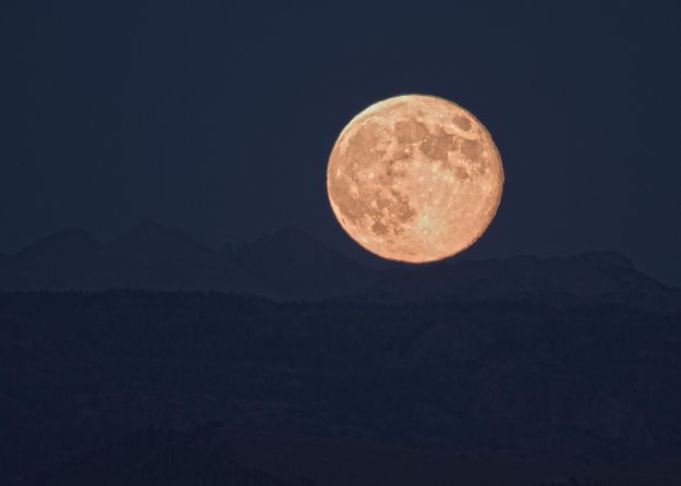 Full Moon Rise. Photo by Dave Bell.