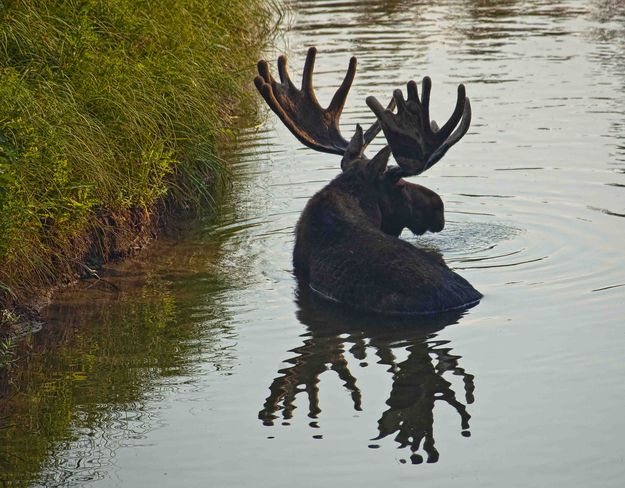 Cool Dude. Photo by Dave Bell.