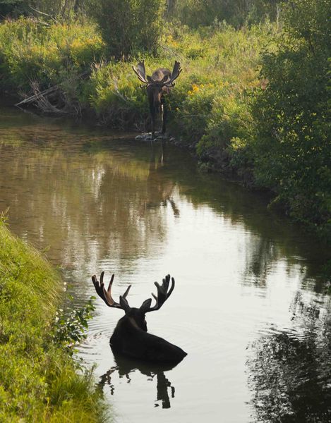 In Search Of Cool. Photo by Dave Bell.