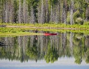 Calm Waters. Photo by Dave Bell.