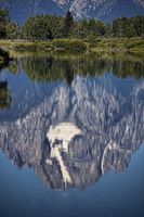 Mt. Moran Reflection. Photo by Dave Bell.