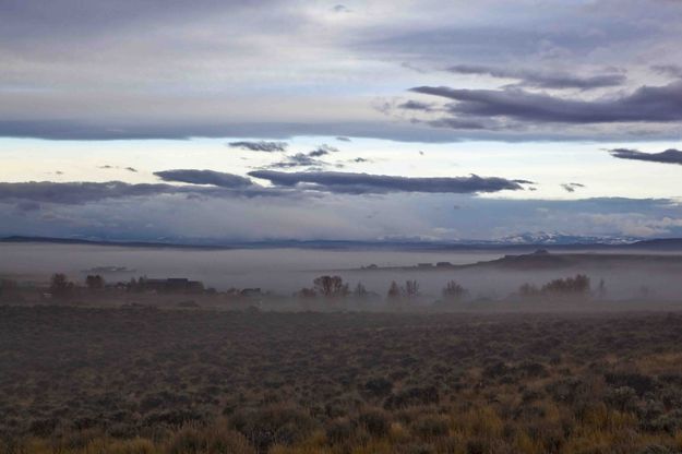 Foggy Morning. Photo by Dave Bell.