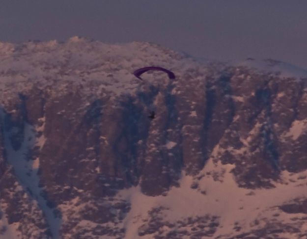 Paraglider Up Close. Photo by Dave Bell.