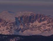 Paraglider. Photo by Dave Bell.