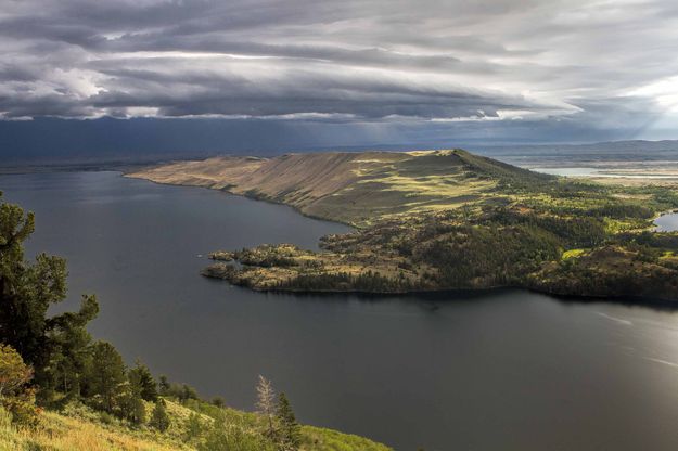 Shelf Cloud. Photo by Dave Bell.