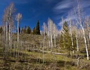 Greening Up!. Photo by Dave Bell.