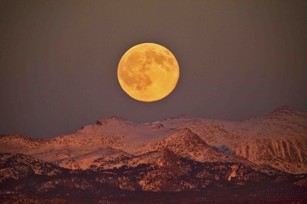 Full Moon Rising. Photo by Dave Bell.