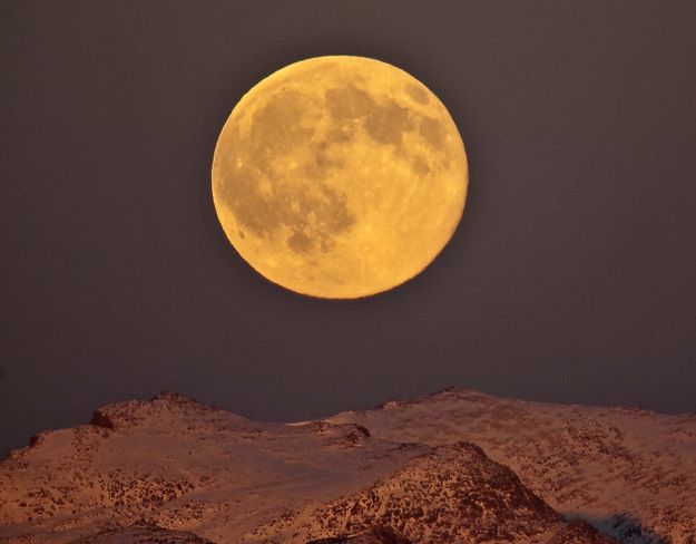 Moon Zoom. Photo by Dave Bell.