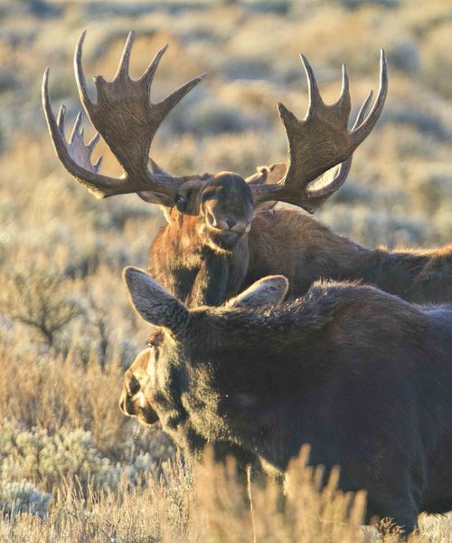 Dance. Photo by Dave Bell.