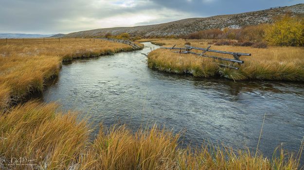 Fall In Sublette County. Photo by Dave Bell.