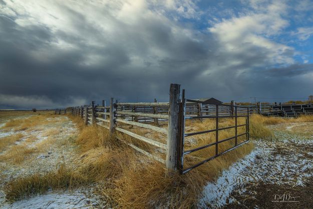 Open Gate. Photo by Dave Bell.