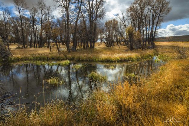 Beautiful Scene. Photo by Dave Bell.