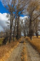 Ranch Road. Photo by Dave Bell.