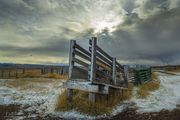 Loading Chute. Photo by Dave Bell.