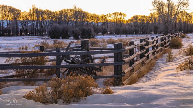 Fenceline Double Silhouette. Photo by Dave Bell.