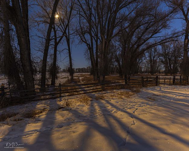 Moon Shadows. Photo by Dave Bell.