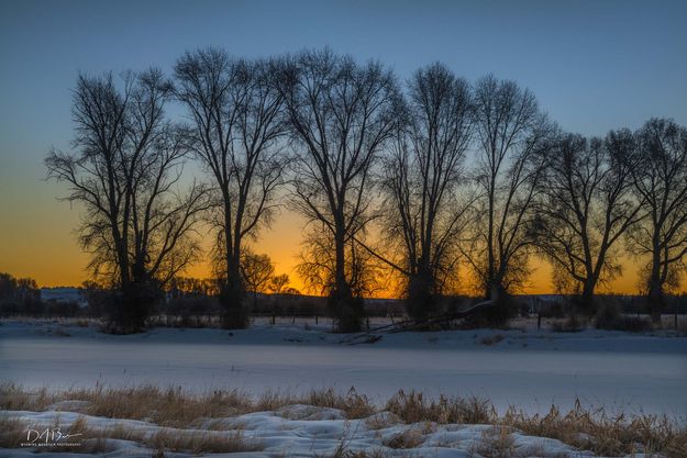 Early Morning Glow. Photo by Dave Bell.