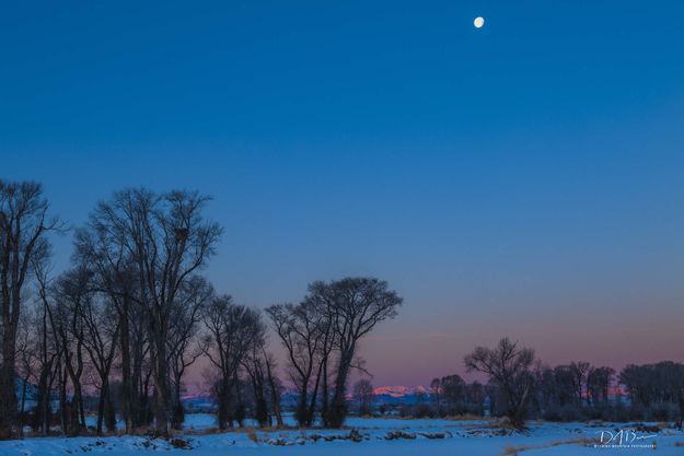 Triple Peak Morning Light And The Moon. Photo by Dave Bell.