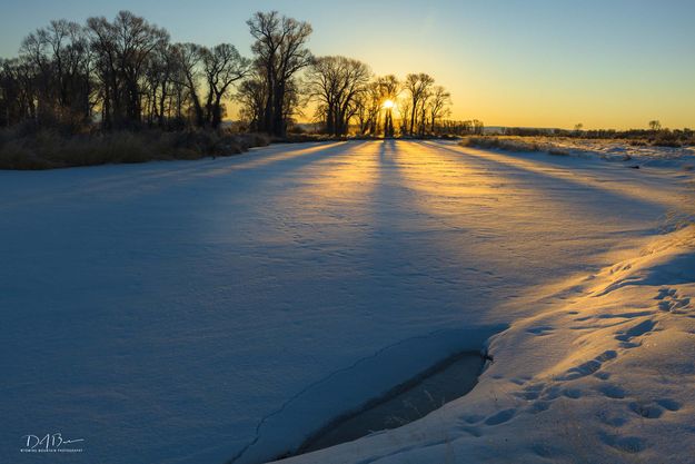 Morning Shadows On The Frozen Green. Photo by Dave Bell.