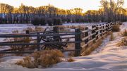 Fenceline Double Silhouette. Photo by Dave Bell.