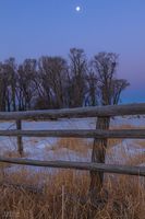 Cold Morning. Photo by Dave Bell.