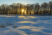 Cold Morning Sun. Photo by Dave Bell.