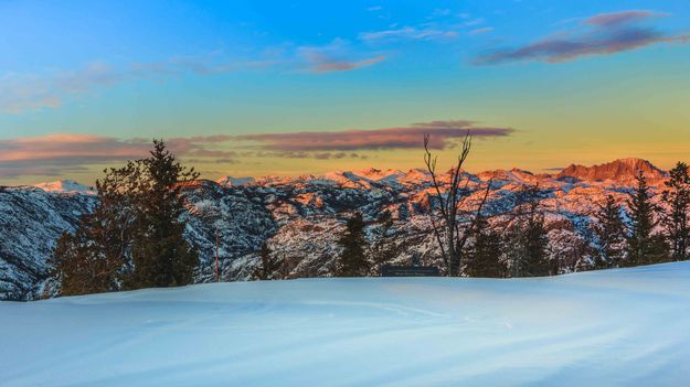 Bathed In Soft Light. Photo by Dave Bell.