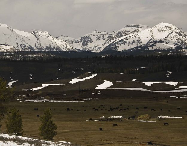 Dell Creek Area. Photo by Dave Bell.