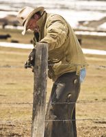 Lawrence Dawcett--Fencing On The Little Jennie. Photo by Dave Bell.