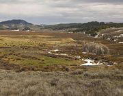 Jack Creek Cow Pasture. Photo by Dave Bell.