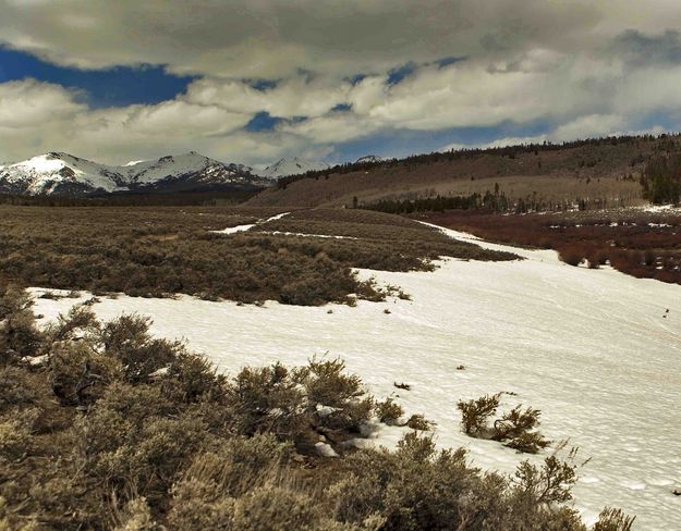 Lingering Snowdrifts. Photo by Dave Bell.