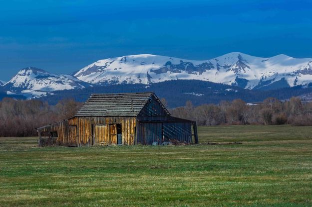 Spring At The Binning Place. Photo by Dave Bell.