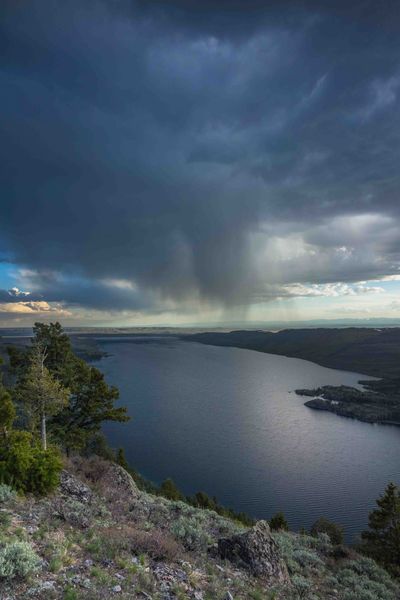 Virga. Photo by Dave Bell.