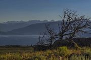 Beautiful But Hazy Blue. Photo by Dave Bell.