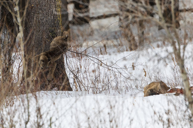 I Gotta Read Up On This Gravity Thing. Photo by Dave Bell.