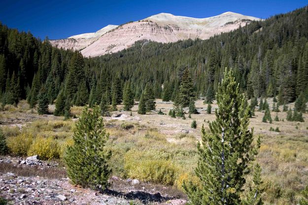 High Ridges Surrounding Mt. Coffin. Photo by Dave Bell.