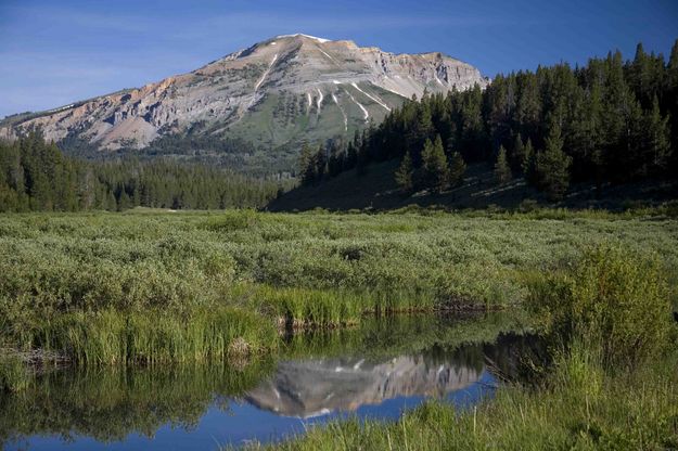 Mt. McDougal Reflection. Photo by Dave Bell.