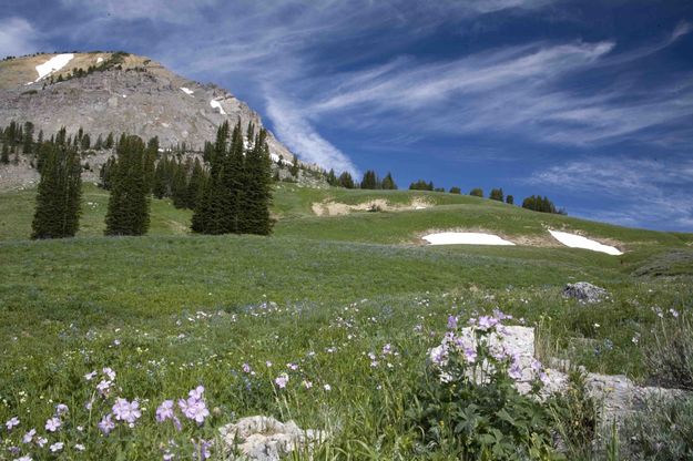 Beautiful Green Grassy Meadows Were Everywhere. Photo by Dave Bell.