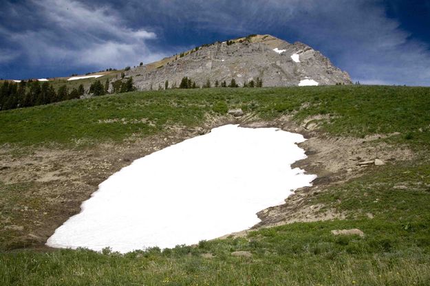 Snowfield. Photo by Dave Bell.