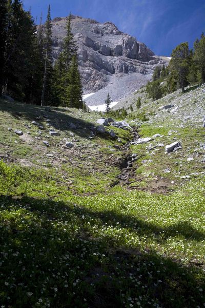 North End Of Mt. McDougal. Photo by Dave Bell.